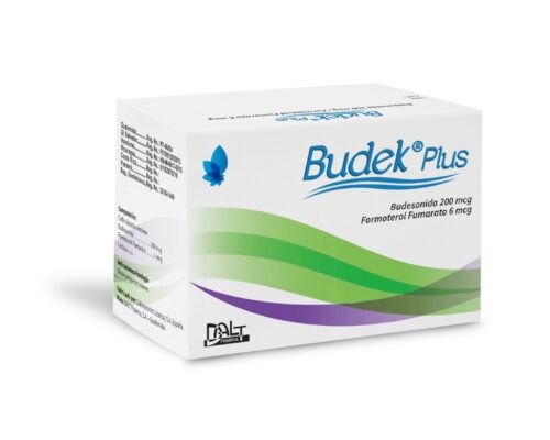 Budek Plus