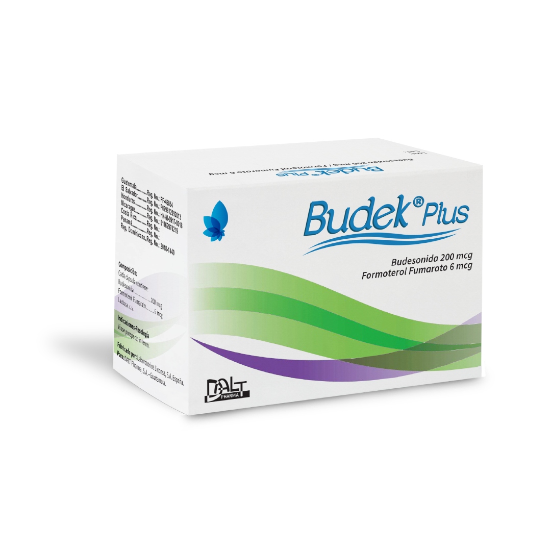 budek_Plus_New